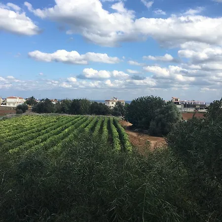 Apartman Trinidad Complex Paralímni